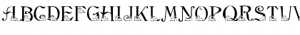 New Regular Font New Regular Font
