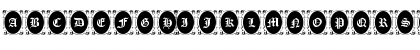 Locket Regular Font Locket Regular Font