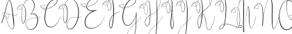 Delissa Script Regular Font