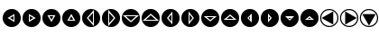 Mini Pics Directional RT Font Mini Pics Directional RT Font