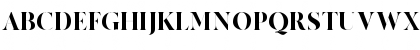 MADE Canvas Black Font