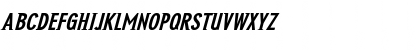 NewGlobal BoldItalic Font NewGlobal BoldItalic Font
