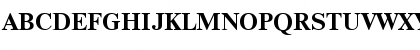 NewtonBTT Bold Font