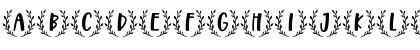 Moca Regular Font