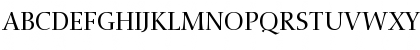 Nofret Roman Font