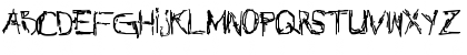 New Regular Font