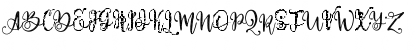 Paradiso Vintage Demo Regular Font Paradiso Vintage Demo Regular Font