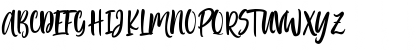 Passengers Script Regular Font Passengers Script Regular Font
