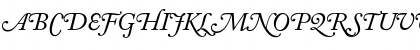 AdobeCaslonSwash RomanItalic Font AdobeCaslonSwash RomanItalic Font