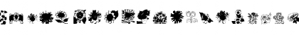 NewWGL4Font Regular Font NewWGL4Font Regular Font