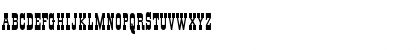 All Night 11 Regular Font All Night 11 Regular Font