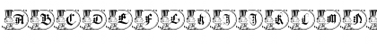 American Gothique Regular Font American Gothique Regular Font