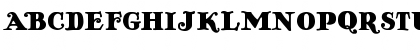 Antique No 14 Regular Font Antique No 14 Regular Font