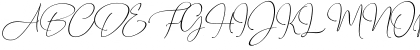 Travel Soulmates Signature Regular Font