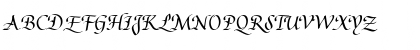 Augusta Cancelaresca Schnurkl Regular Font Augusta Cancelaresca Schnurkl Regular Font