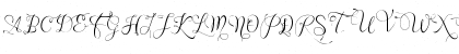 Wenny script Regular Font Wenny script Regular Font