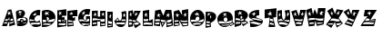 BodieMF Flag Font BodieMF Flag Font