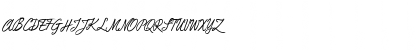 DuTurner Regular Font