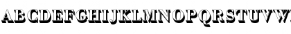 BodoniAntTDemBolSh1 Regular Font