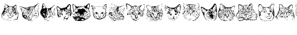 KittyPrint Regular Font