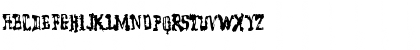 Model Worker Normal Font Model Worker Normal Font