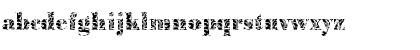 BodoniPlant Regular Font BodoniPlant Regular Font
