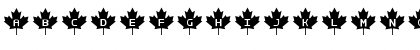 RCMP Regular Font RCMP Regular Font