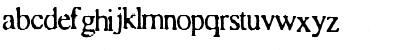 Times Normal Font Times Normal Font