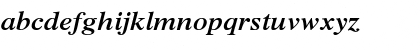 Xerox Serif Wide Bold Italic Font