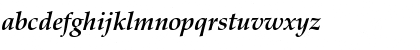 ZapfCalligr BT Bold Italic Font
