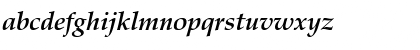 Zapf Calligraphic 801 SWA Bold Italic Font