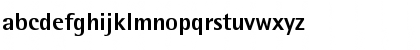 AgfaRotisSemisansExtraBold Regular Font AgfaRotisSemisansExtraBold Regular Font