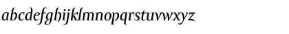 Amor Serif Text Pro Italic Font Amor Serif Text Pro Italic Font