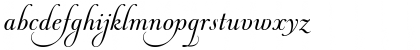 Andrade Pro Script Font