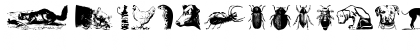AnimalsOldfashion Regular Font