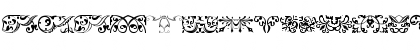 Baroque Ornaments Regular Font