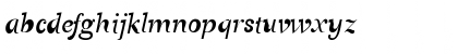 CanadianPhotographer Script Font CanadianPhotographer Script Font
