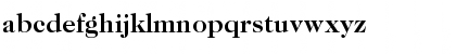 ITC Caslon 224 Std Bold Font ITC Caslon 224 Std Bold Font