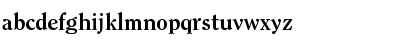 ClearfaceEF-Bold Regular Font ClearfaceEF-Bold Regular Font