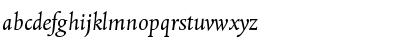DTLAlbertinaT Italic Font DTLAlbertinaT Italic Font