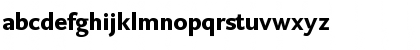 DTL Caspari ST Bold Font DTL Caspari ST Bold Font