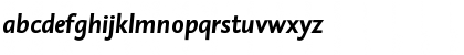 DTL Caspari ST Bold Italic Font DTL Caspari ST Bold Italic Font