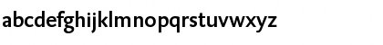 DTL Caspari T Medium Font DTL Caspari T Medium Font