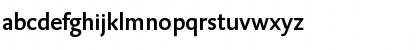 DTLCaspariT Medium Font DTLCaspariT Medium Font
