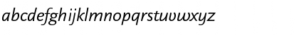 DTLDocumentaSansT Italic Font DTLDocumentaSansT Italic Font