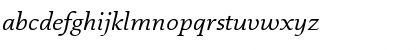 DTLDocumentaT Italic Font