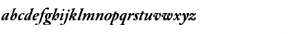 DTLElzevirS BoldItalic Font DTLElzevirS BoldItalic Font