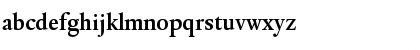 DTL Elzevir T Medium Font DTL Elzevir T Medium Font