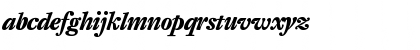 DTL Fleischmann ST Bold Italic Font DTL Fleischmann ST Bold Italic Font