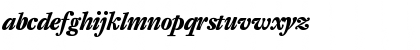 DTL Fleischmann T Bold Italic Font DTL Fleischmann T Bold Italic Font